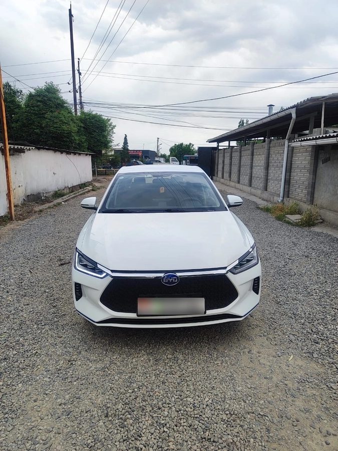 BYD E2 I 2020