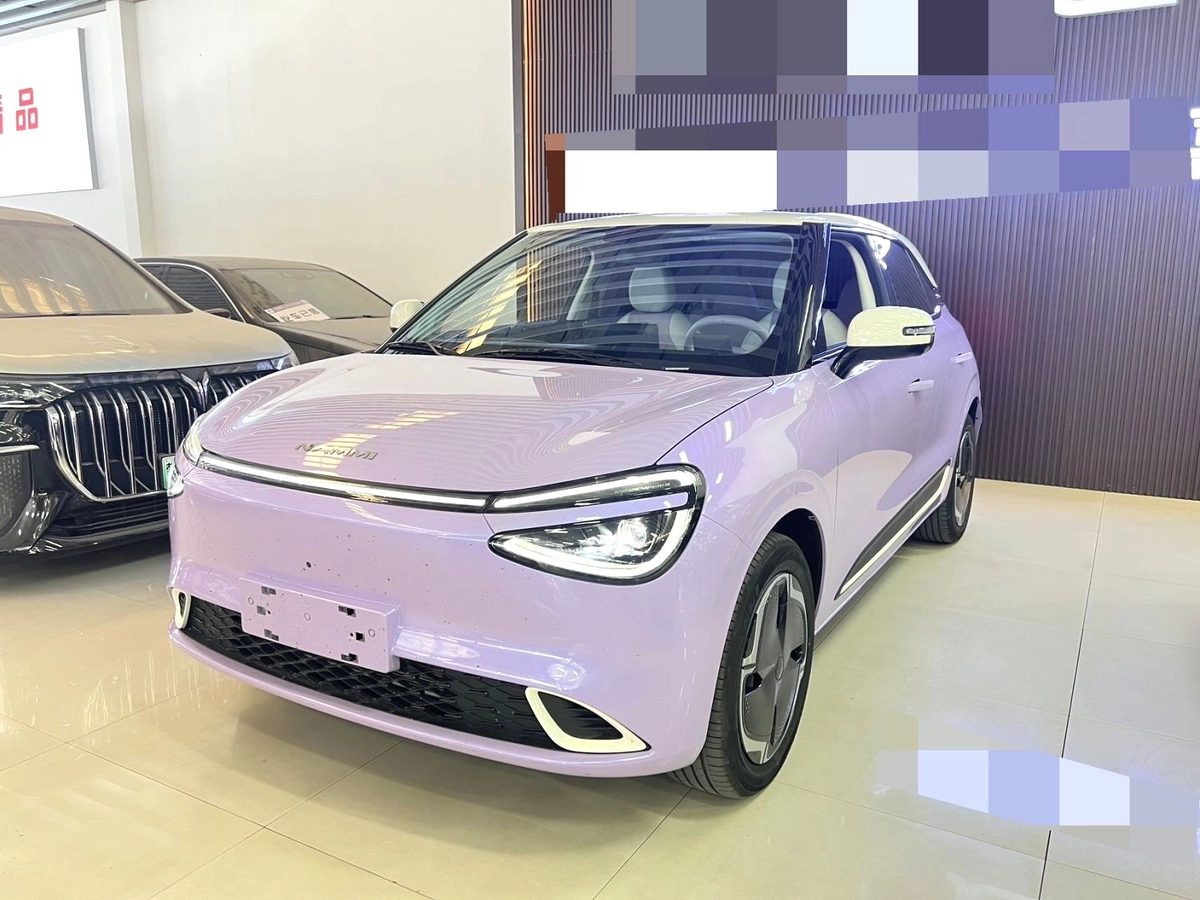 Dongfeng Nammi 01 2024