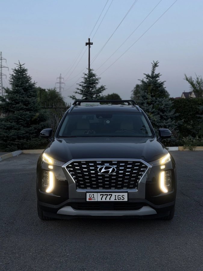 Hyundai Palisade I 2018