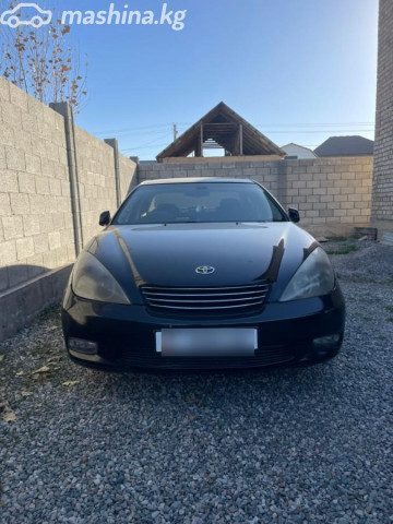 Toyota Windom
