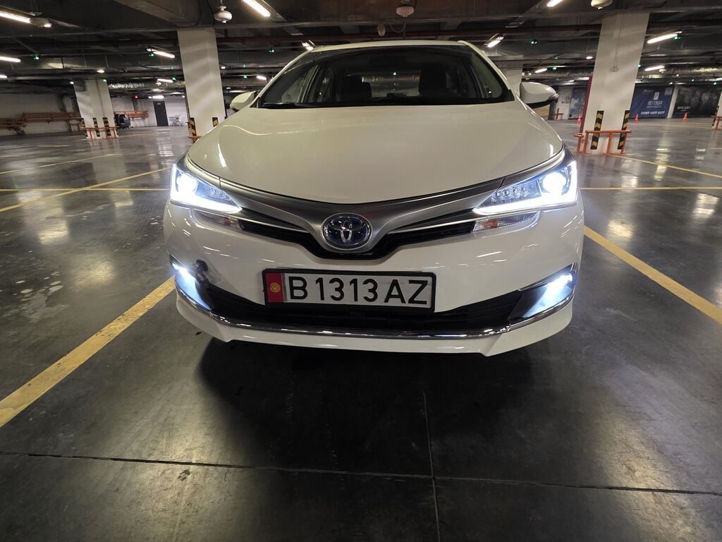Фото 2