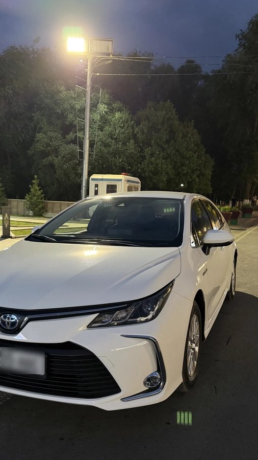 Toyota Corolla XII (E210) 2022