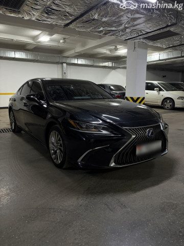 Фото 2