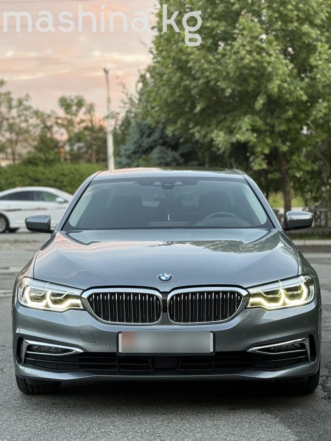 BMW 5 серии VII (G30/G31) 2019
