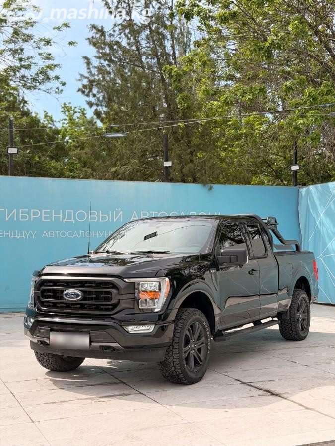 Ford F-150 XIV