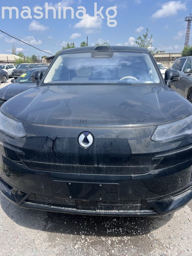 Denza N9 2025