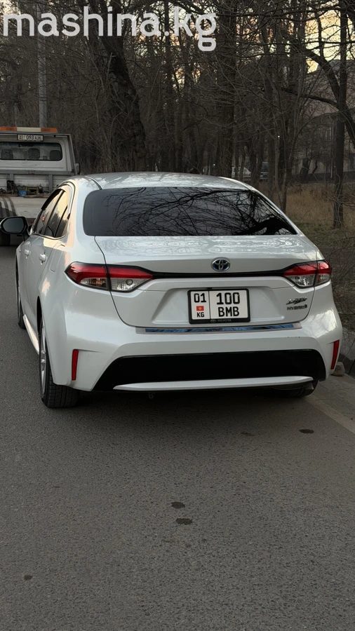 Toyota Levin XII (E210) 2020