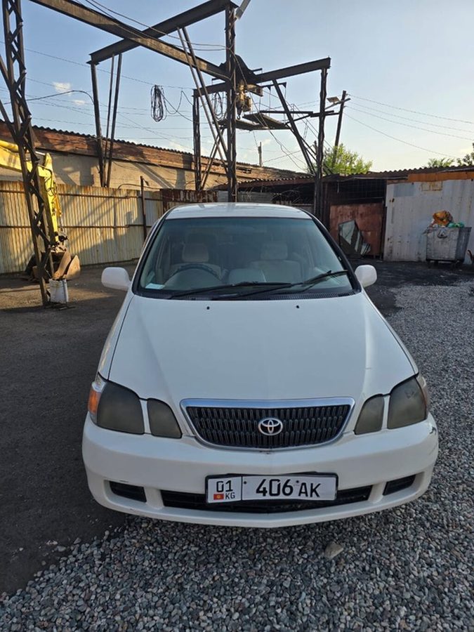 Toyota Gaia
