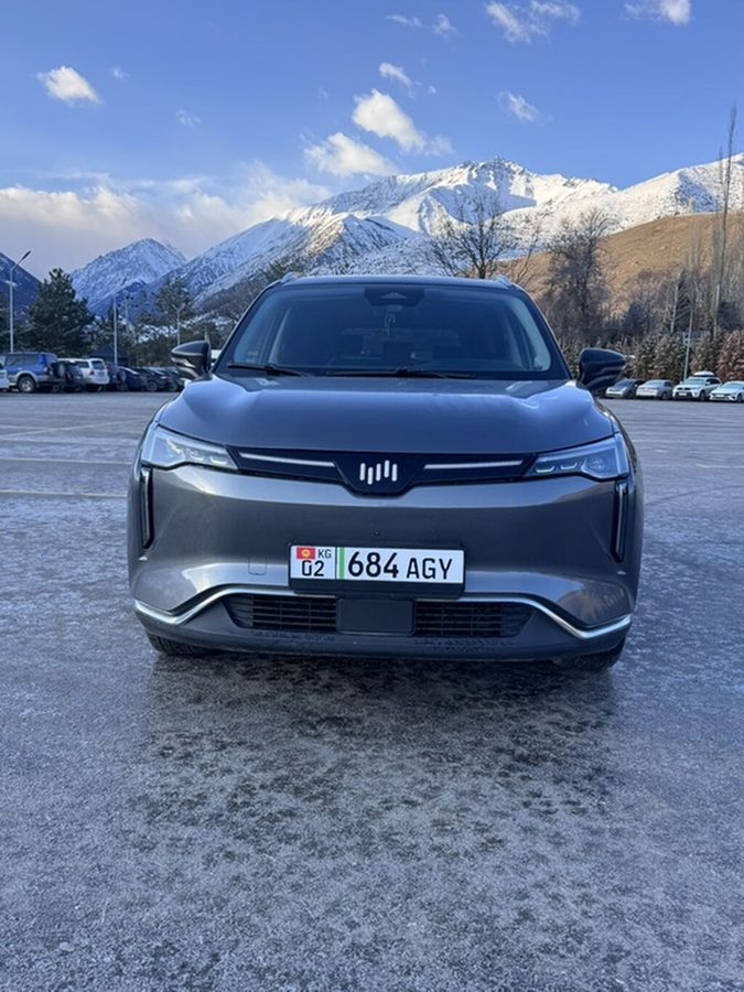 Weltmeister W6, 2021 г., 82900 км