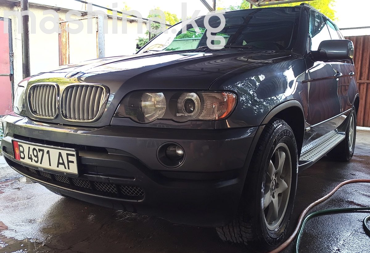 BMW X5 I (E53) 2002