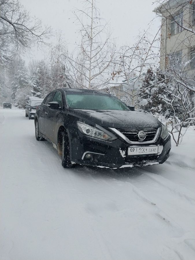 Nissan Altima