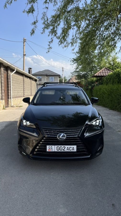Lexus NX