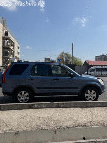 Фото 4