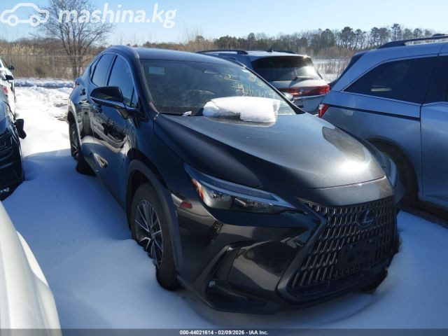 Lexus NX II