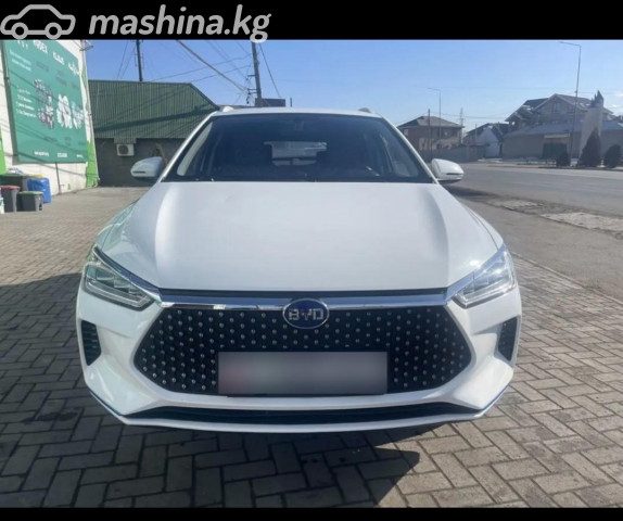 BYD E2