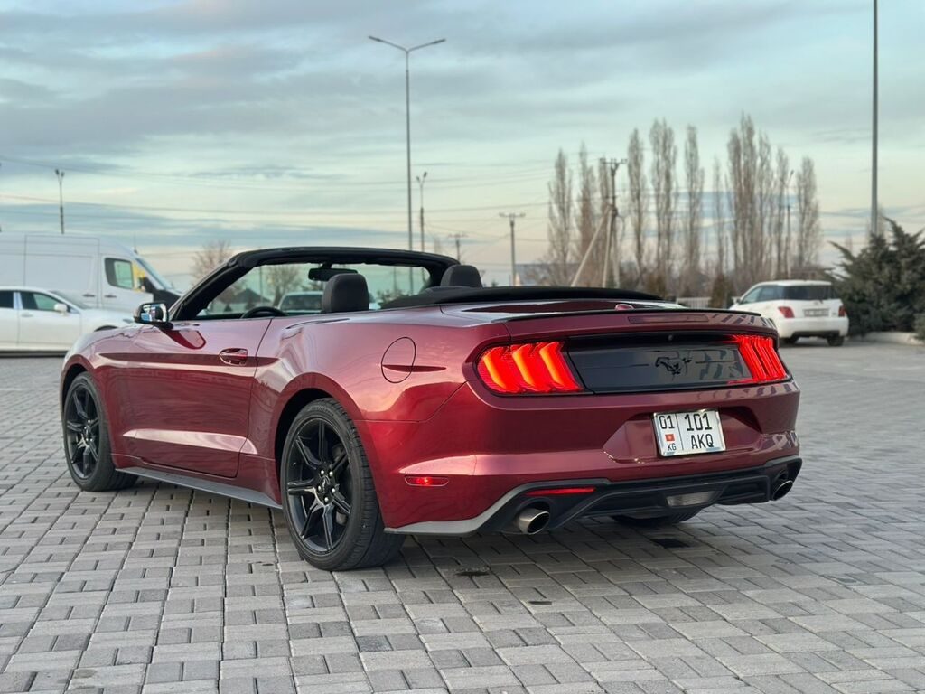 Фото 2