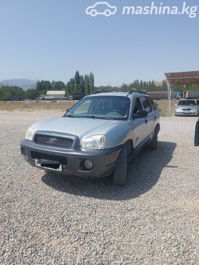 Hyundai Santa Fe I