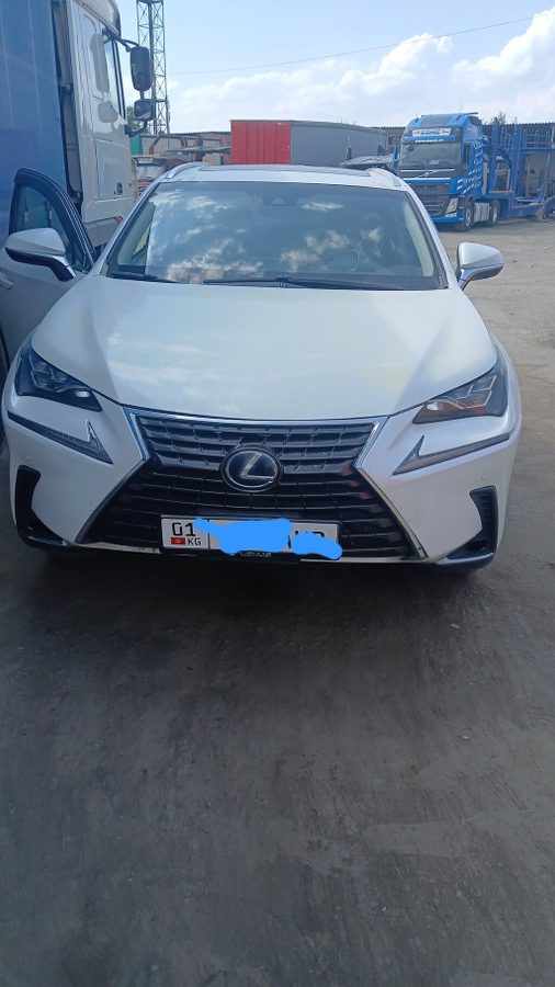 Lexus NX