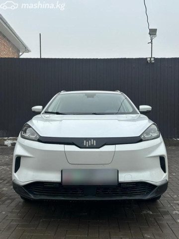 Weltmeister EX5