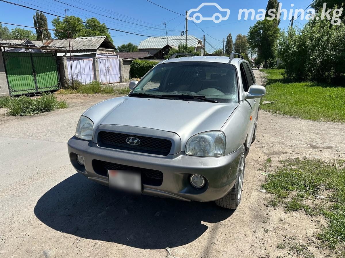 Hyundai Santa Fe I