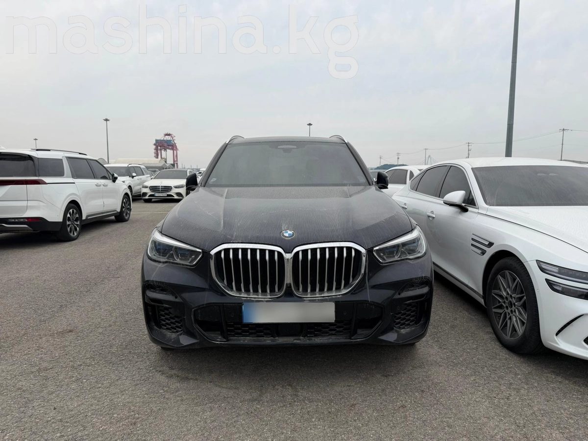 BMW X5 IV (G05/G18) 2022