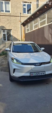 Weltmeister EX5