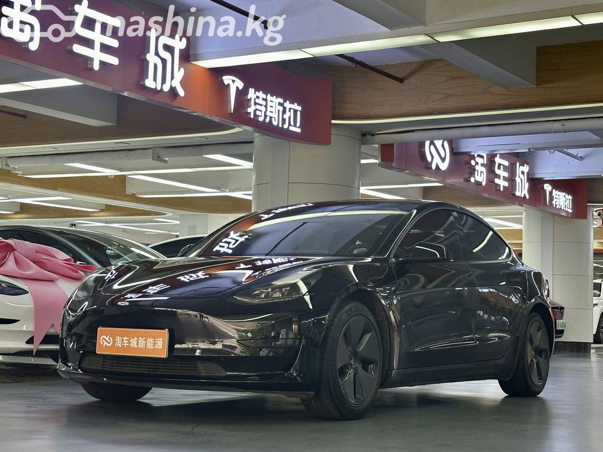 Tesla Model 3 I