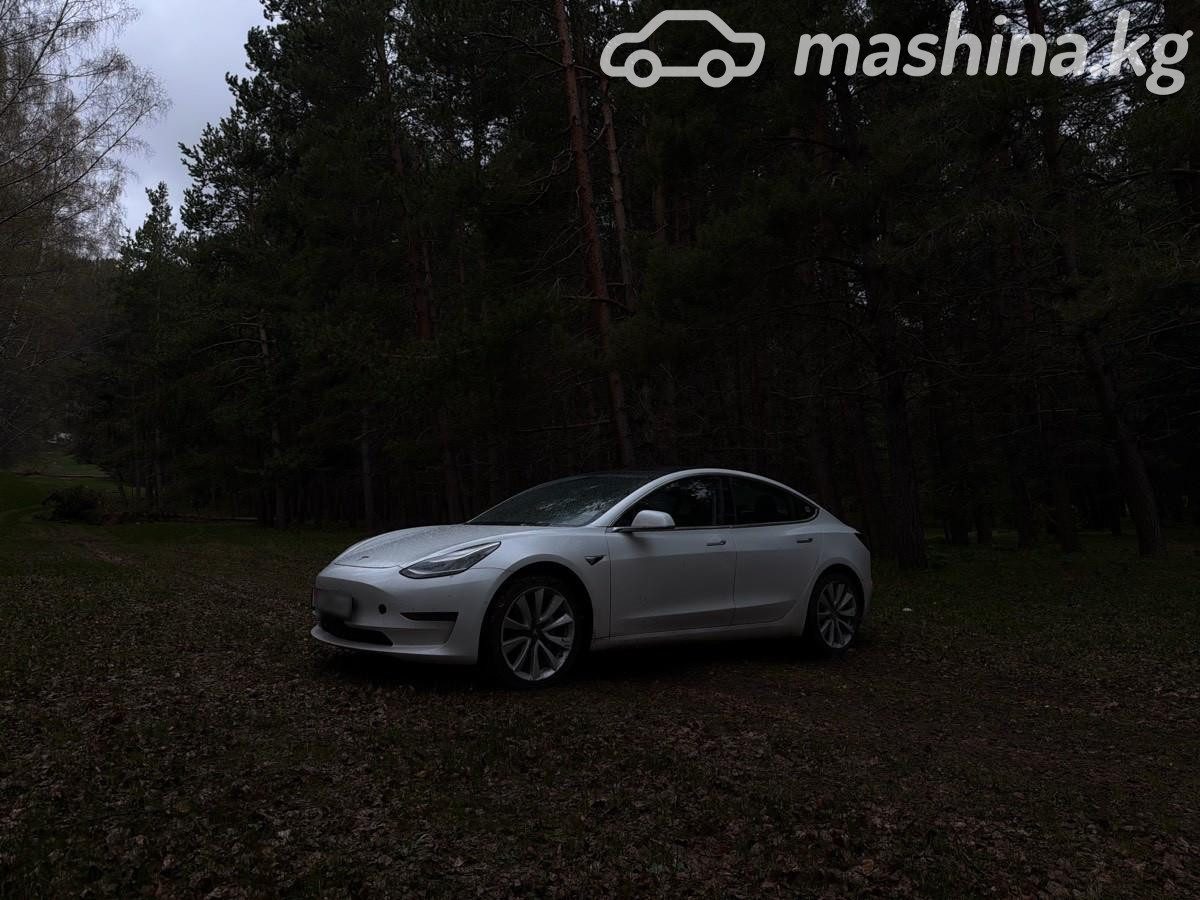 Tesla Model 3 I