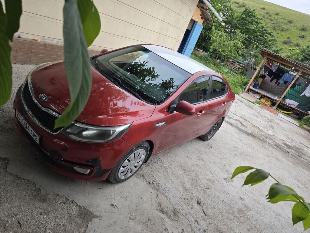 Фото 4