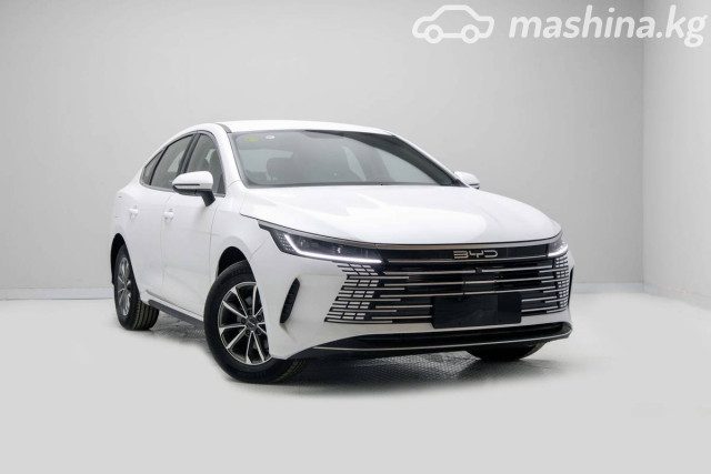 BYD Destroyer 05