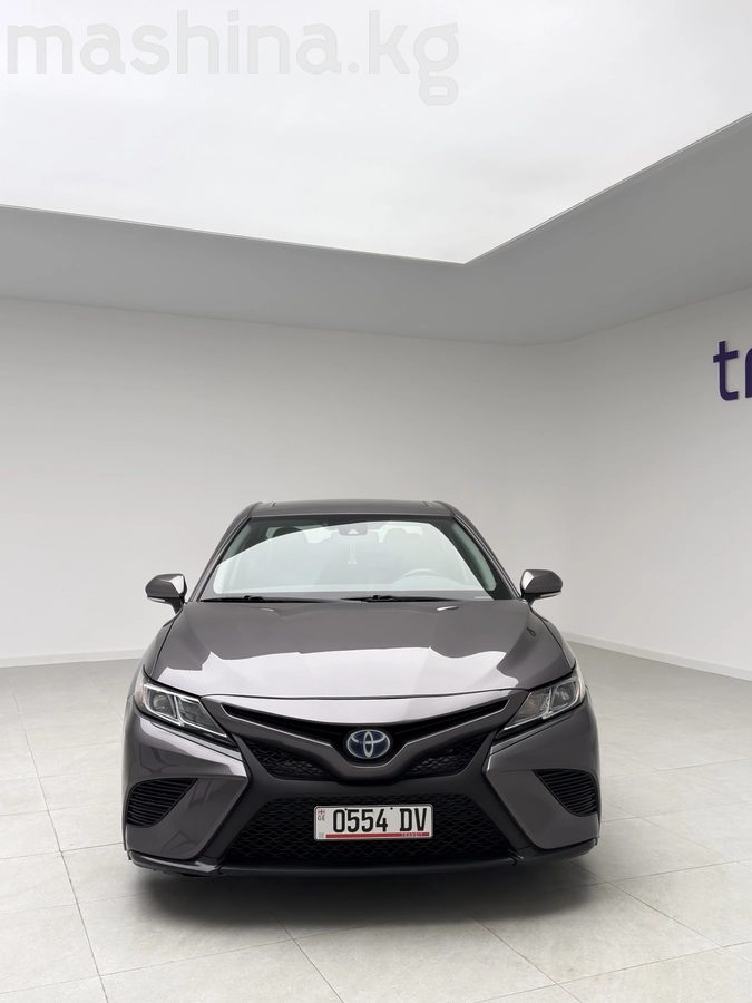 Toyota Camry VIII (XV70) 2019
