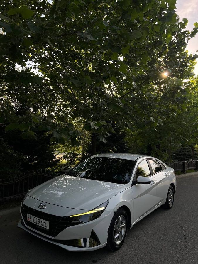Hyundai Avante
