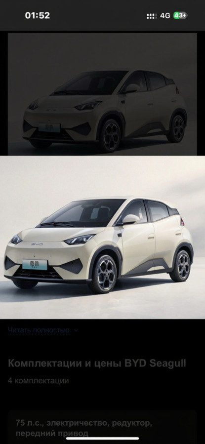 BYD Seagull