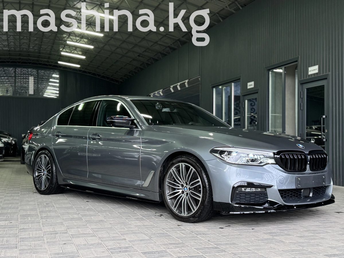 BMW 5 серии VII (G30/G31) 2019