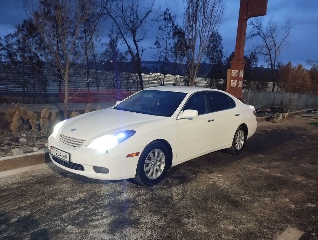 Toyota Windom