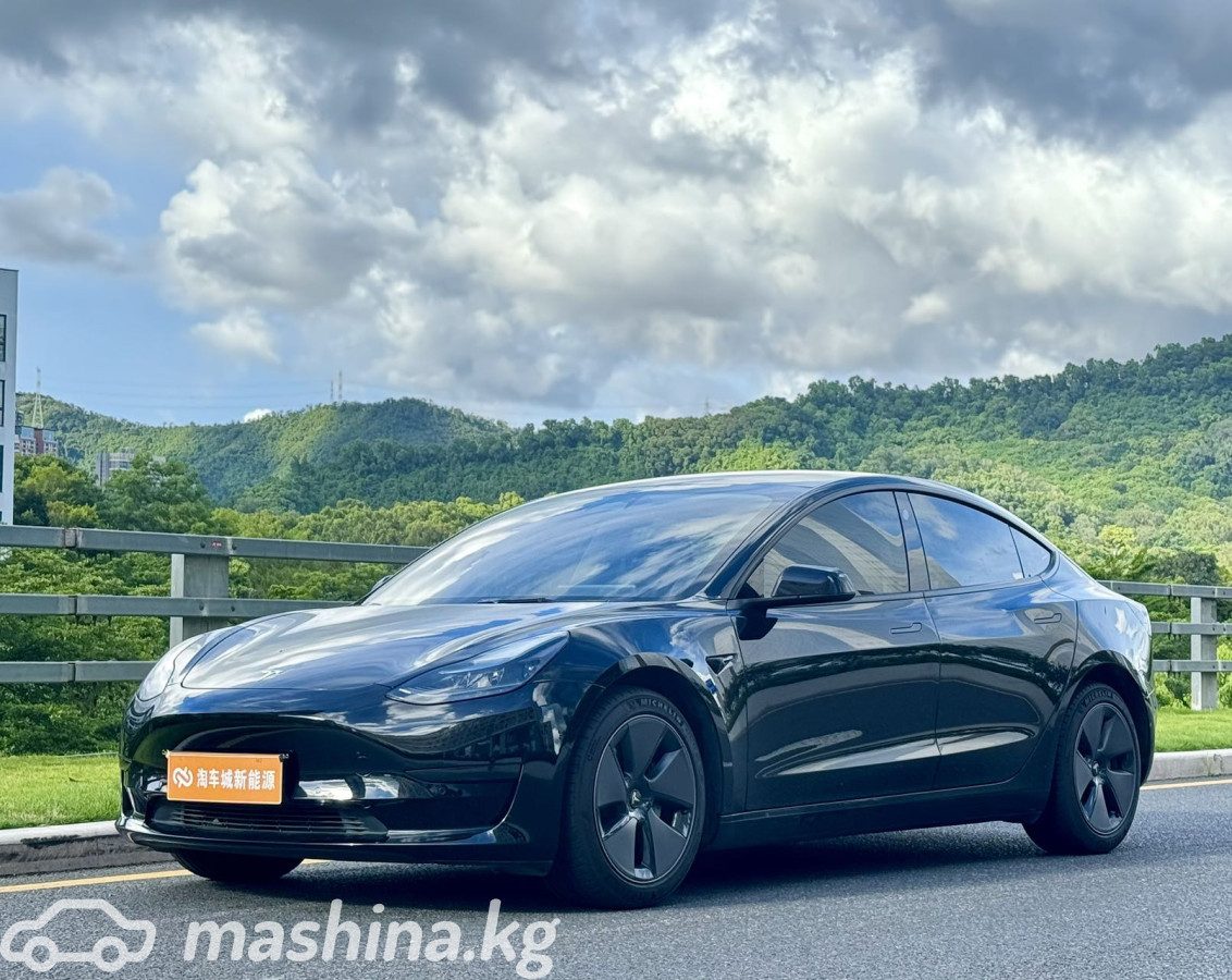 Tesla Model 3 I