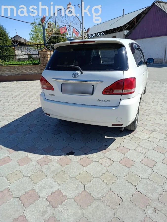 Toyota Ipsum II (M20) 2002