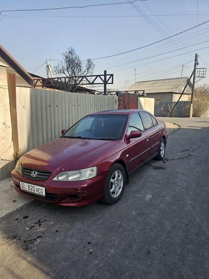 Honda Accord