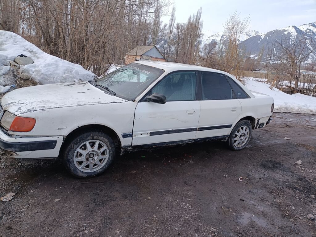 Audi 100