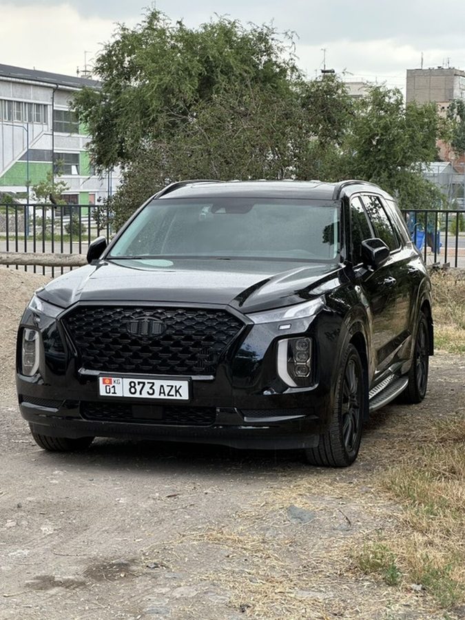 Hyundai palisade calligraphy В идеальном состоянии, без вложений, есть