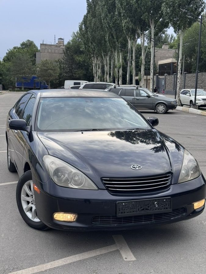 Toyota Windom