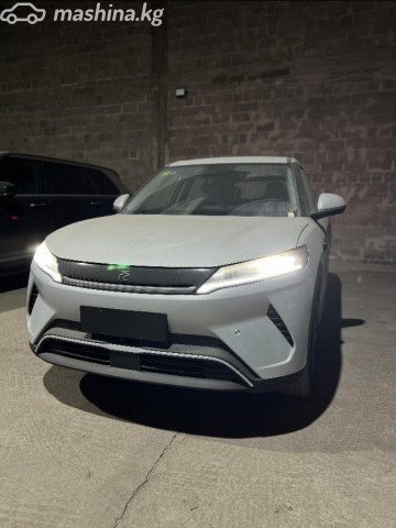 BYD Yuan Up
