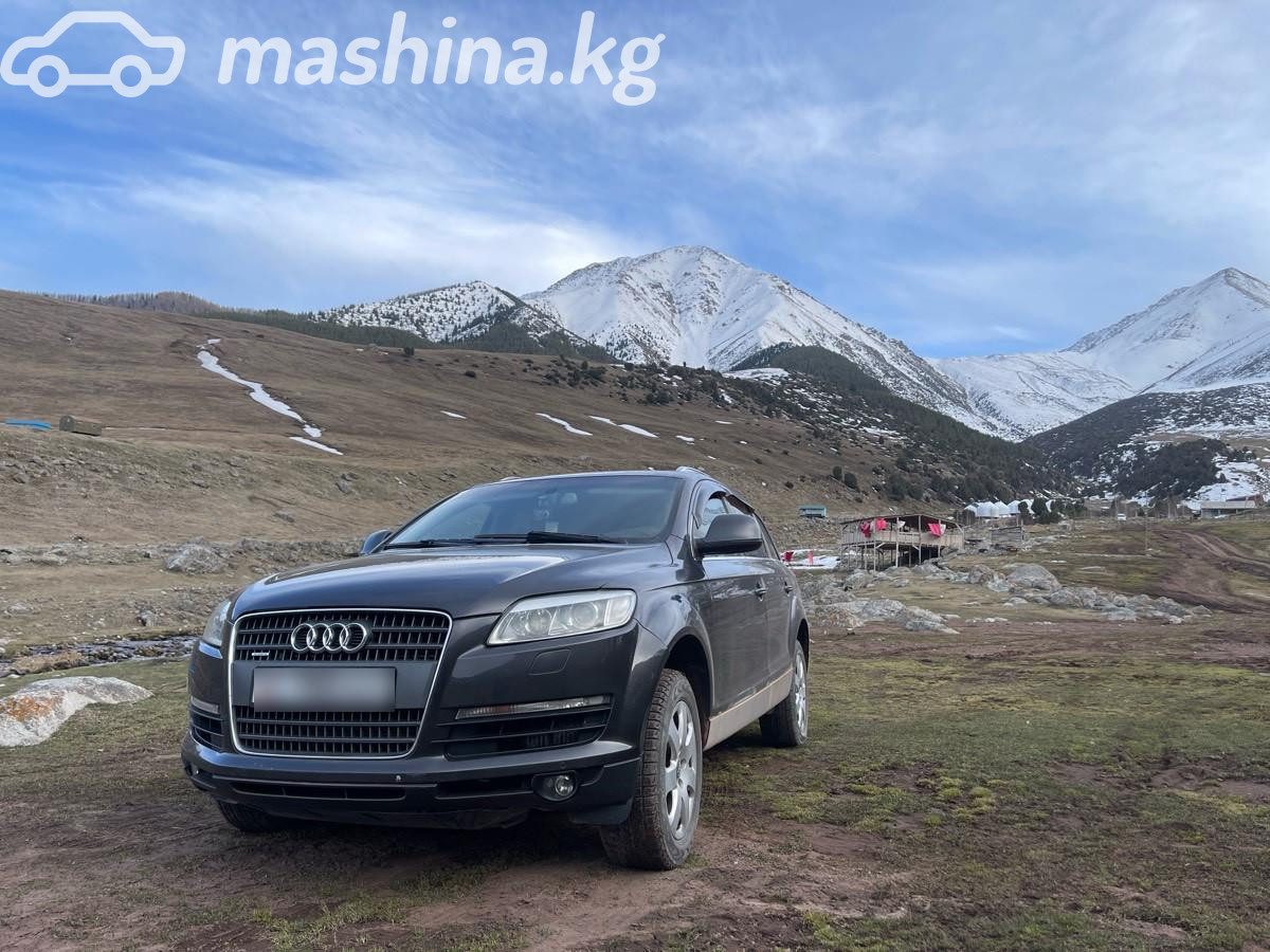 Audi Q7 I (4L)