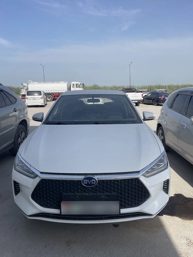 BYD E2 I 2020