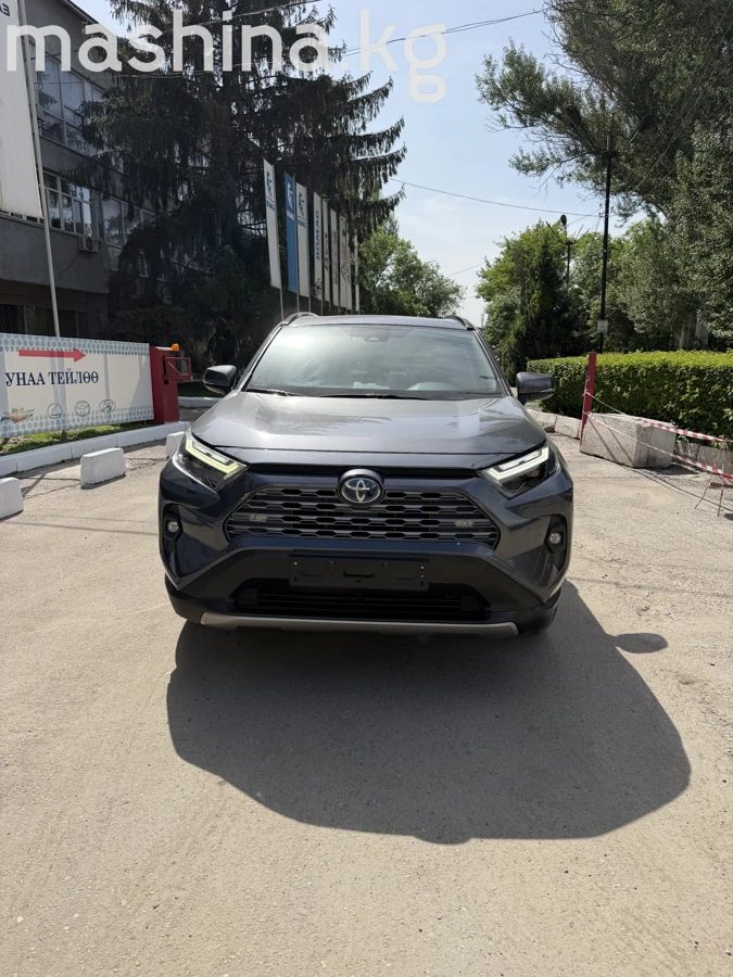 Toyota RAV4 V (XA50) 2022