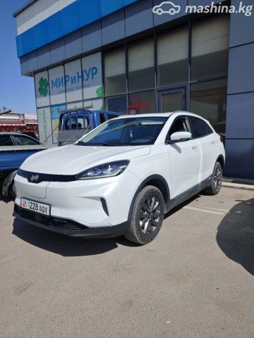 Weltmeister EX5