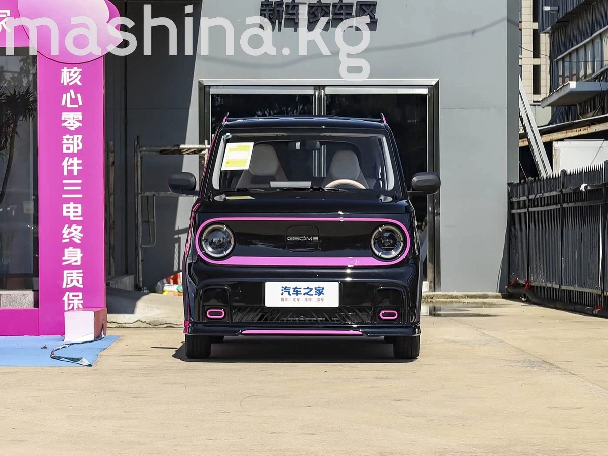 Geely Panda 2026