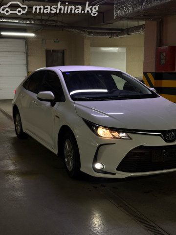 Фото 2