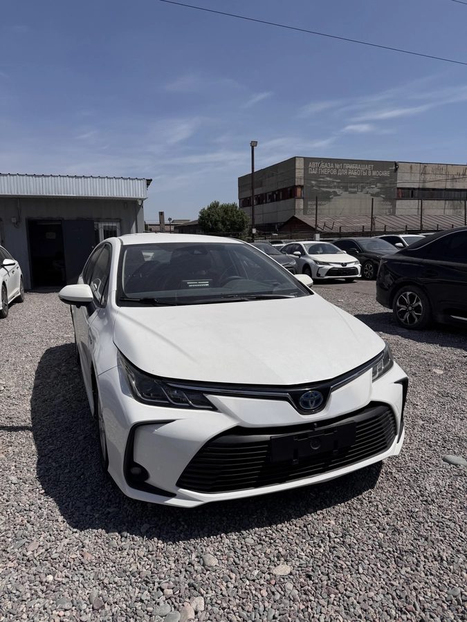 Toyota Corolla XII (E210) 2019