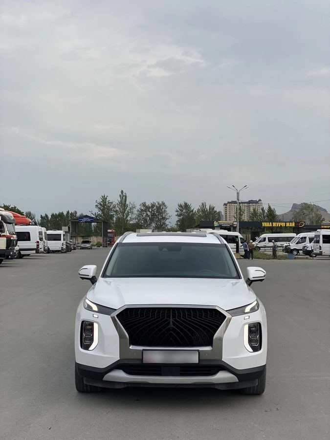 Hyundai Palisade I 2019